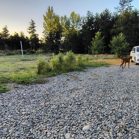 Cabana Valdivia Piedra Blanca 1 Kültér fotó